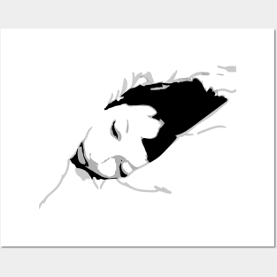 Sleeping girl Posters and Art